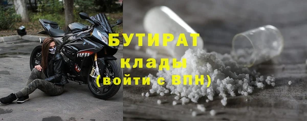 индика Нягань