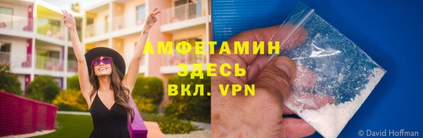 дмт Алексин