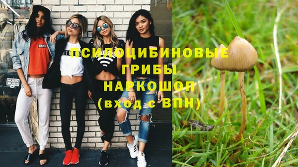 не бодяженный Алзамай